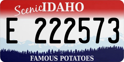 ID license plate E222573
