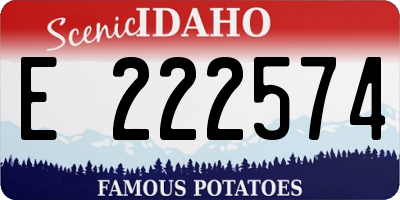 ID license plate E222574