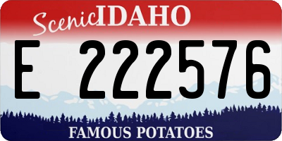 ID license plate E222576