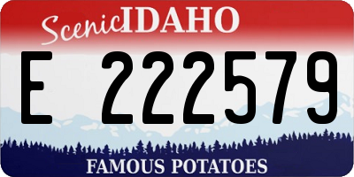 ID license plate E222579