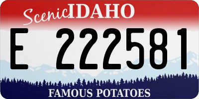 ID license plate E222581