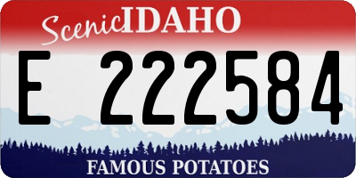 ID license plate E222584