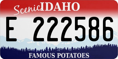 ID license plate E222586