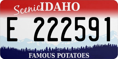 ID license plate E222591