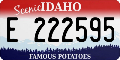 ID license plate E222595