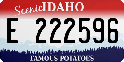 ID license plate E222596