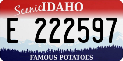 ID license plate E222597
