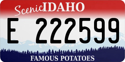 ID license plate E222599