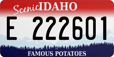 ID license plate E222601