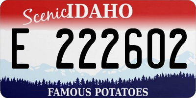 ID license plate E222602