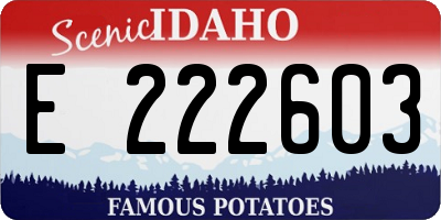 ID license plate E222603