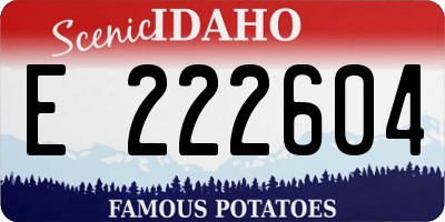 ID license plate E222604