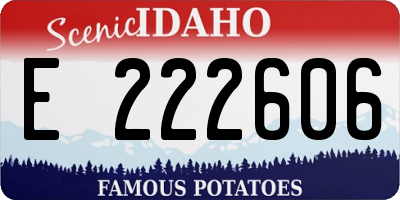 ID license plate E222606