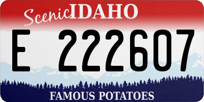 ID license plate E222607