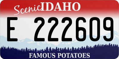 ID license plate E222609