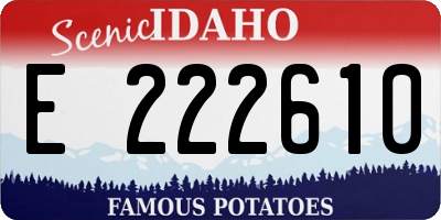 ID license plate E222610