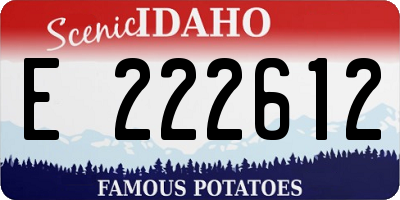 ID license plate E222612