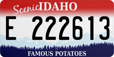 ID license plate E222613