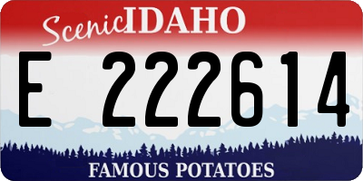 ID license plate E222614