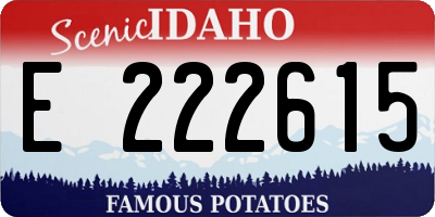 ID license plate E222615