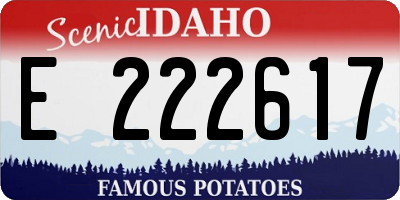 ID license plate E222617