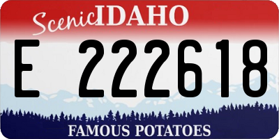 ID license plate E222618