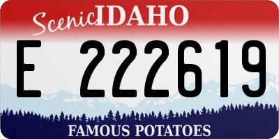 ID license plate E222619