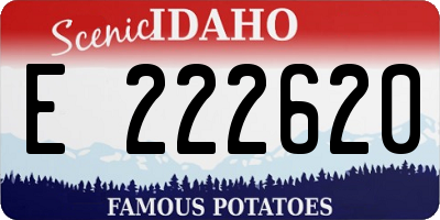 ID license plate E222620