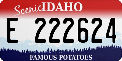 ID license plate E222624