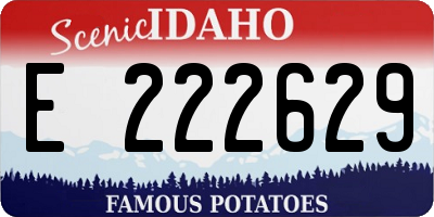 ID license plate E222629