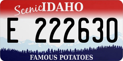 ID license plate E222630