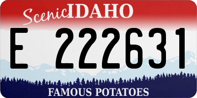 ID license plate E222631