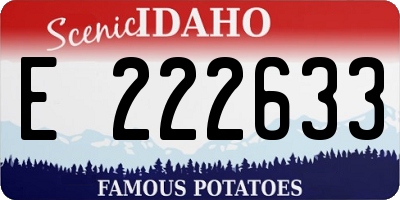 ID license plate E222633