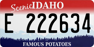 ID license plate E222634