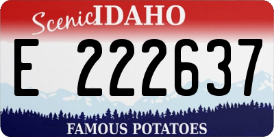 ID license plate E222637