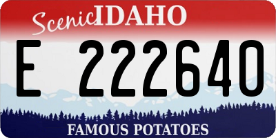 ID license plate E222640