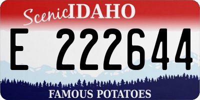 ID license plate E222644