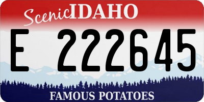 ID license plate E222645