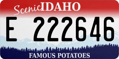 ID license plate E222646