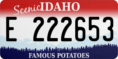 ID license plate E222653