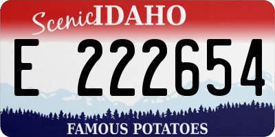 ID license plate E222654