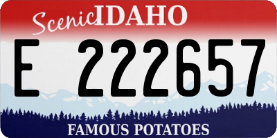 ID license plate E222657
