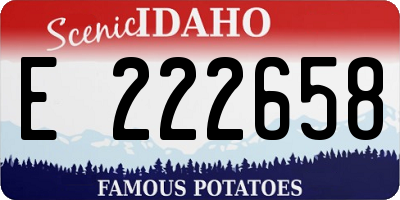 ID license plate E222658