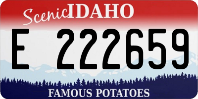 ID license plate E222659