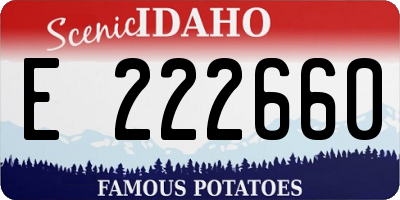 ID license plate E222660