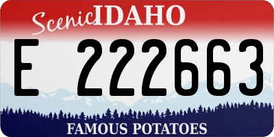 ID license plate E222663