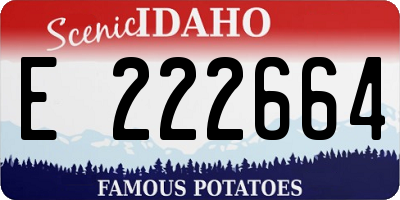 ID license plate E222664