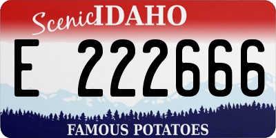 ID license plate E222666