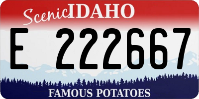 ID license plate E222667