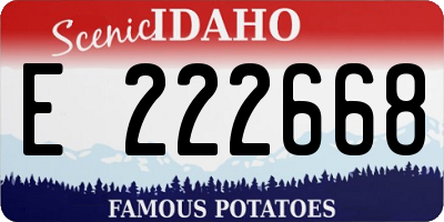 ID license plate E222668
